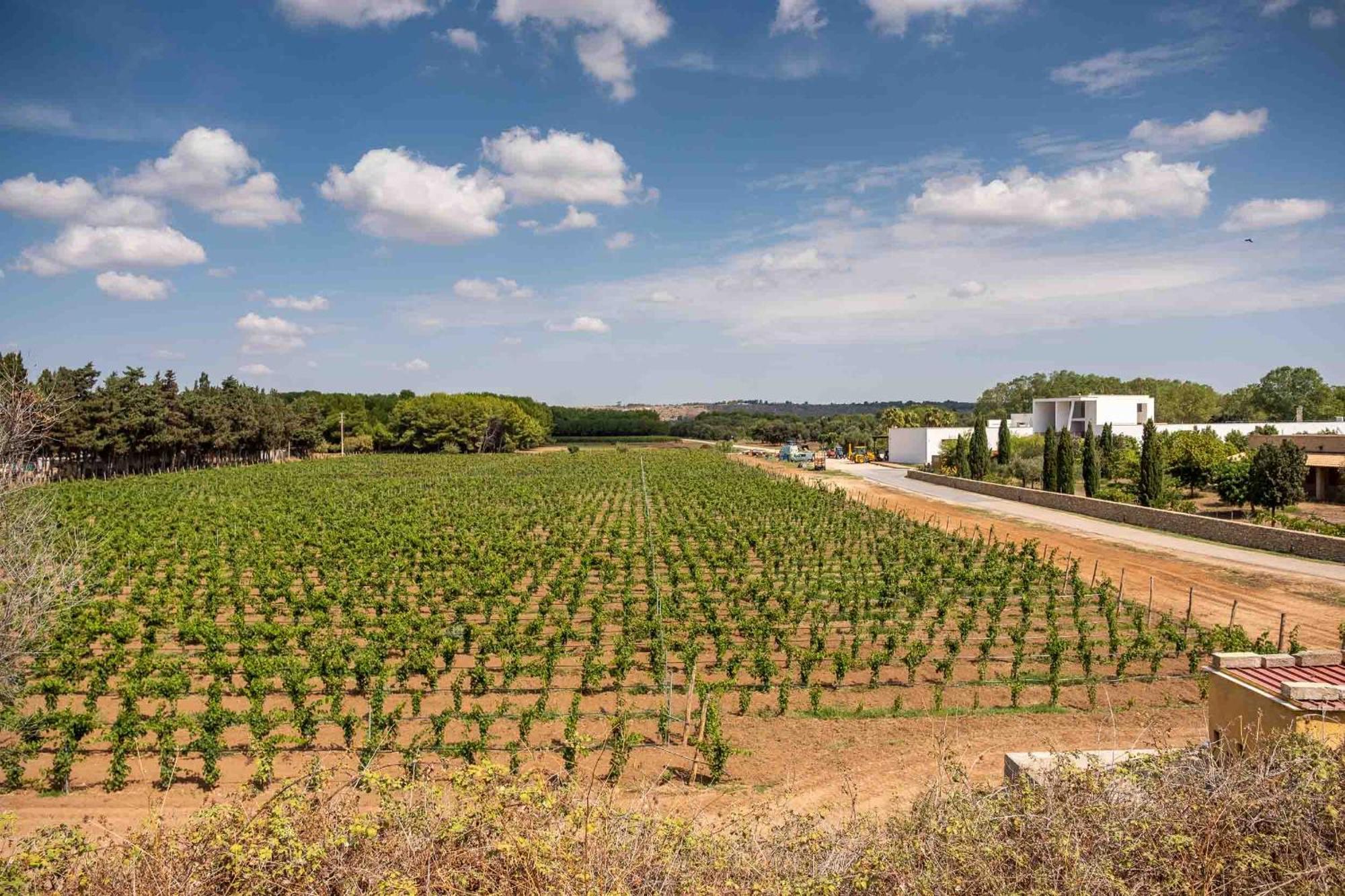 Tenuta Doxi Gallipoli Exterior foto